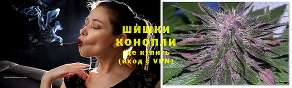 стаф Нефтекумск