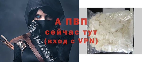 гидра Нея