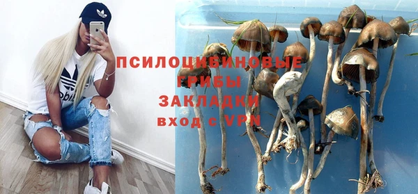 гидра Нея