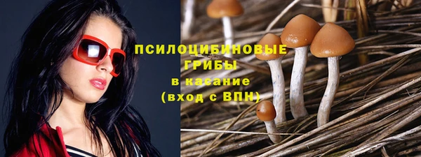 apvp Нефтегорск