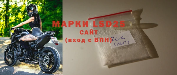 прущие грибы Абинск