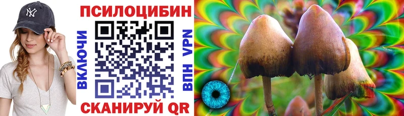 Псилоцибиновые грибы GOLDEN TEACHER Нахабино